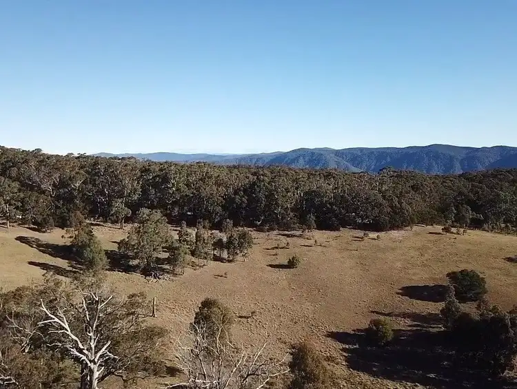 Main view of Homely rural property listing, 644B Sawyers Ridge Road, Reidsdale, Braidwood NSW 2622