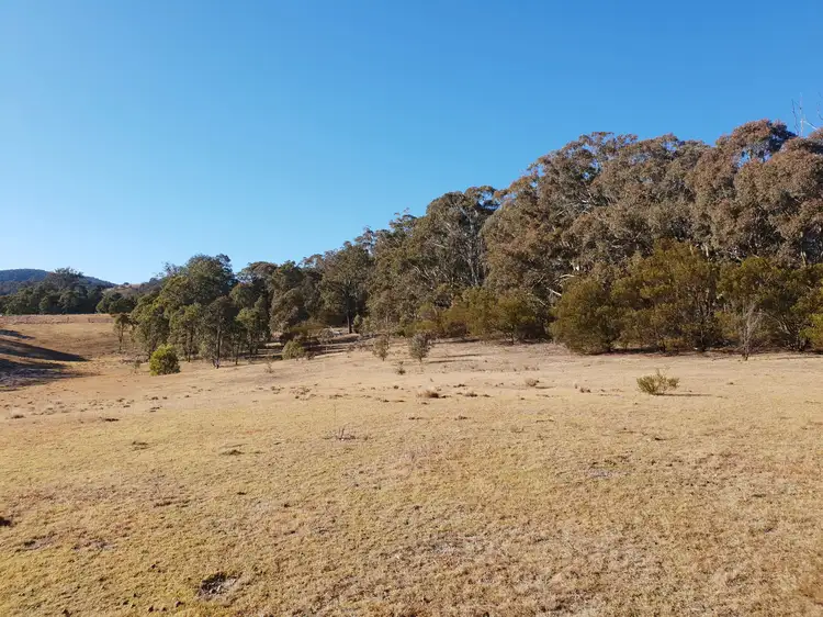 Fourth view of Homely rural property listing, 644B Sawyers Ridge Road, Reidsdale, Braidwood NSW 2622