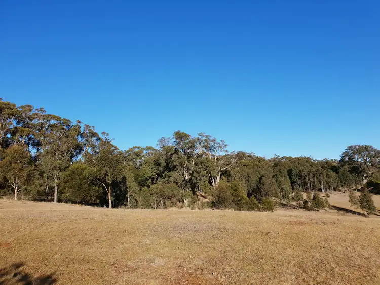 Fifth view of Homely rural property listing, 644B Sawyers Ridge Road, Reidsdale, Braidwood NSW 2622