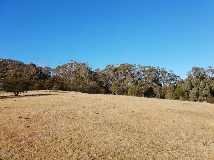 Sixth view of Homely rural property listing, 644B Sawyers Ridge Road, Reidsdale, Braidwood NSW 2622