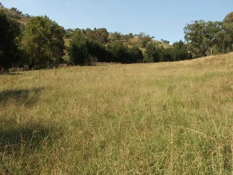 Seventh view of Homely rural property listing, Address available on request