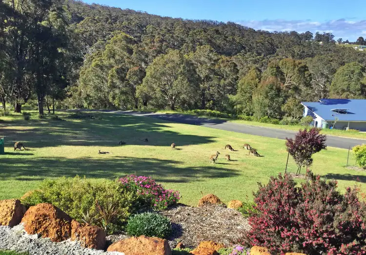 Sixth view of Homely house listing, 114 Peace Street, Denmark WA 6333