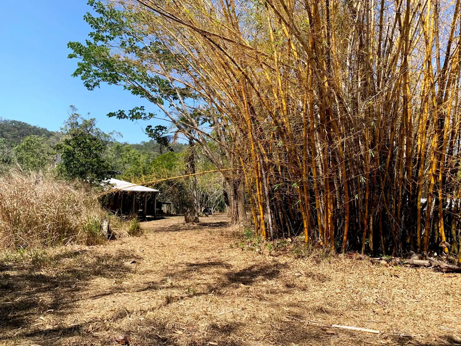Main view of Homely land listing, Lot 2 Cedar Park Road, Koah QLD 4881