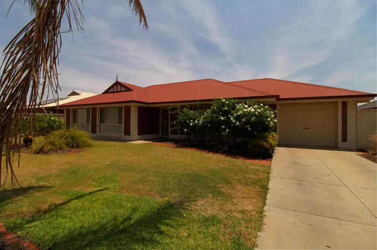 10 Huckstepp Court, Berri SA 5343