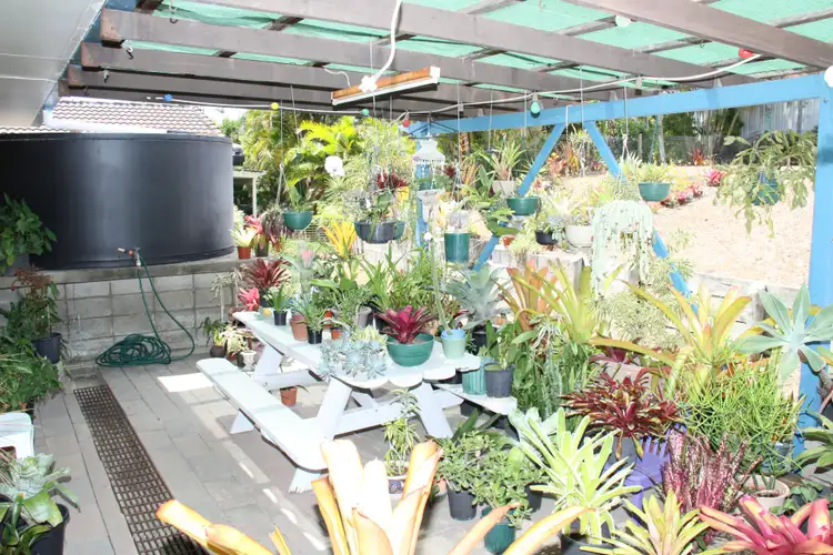 Seventh view of Homely house listing, 18 Tyson Crescent, Tannum Sands QLD 4680