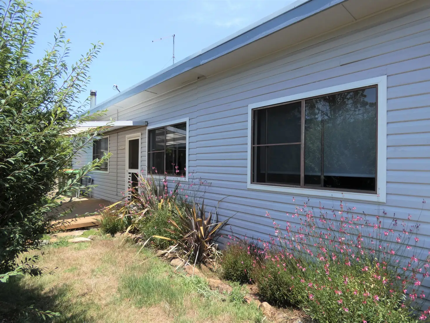 Main view of Homely house listing, 5 Bielsdown Street, Dorrigo NSW 2453