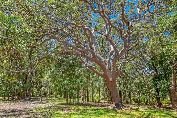 Sixth view of Homely rural property listing, Lot 11 Wards Hill Road, Killcare Heights NSW 2257