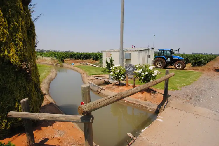 Main view of Homely rural property listing, Farm 1341 Myall Park Road, Yenda NSW 2681