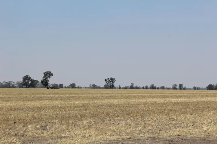 Main view of Homely rural property listing, '' Kyona", Moree NSW 2400