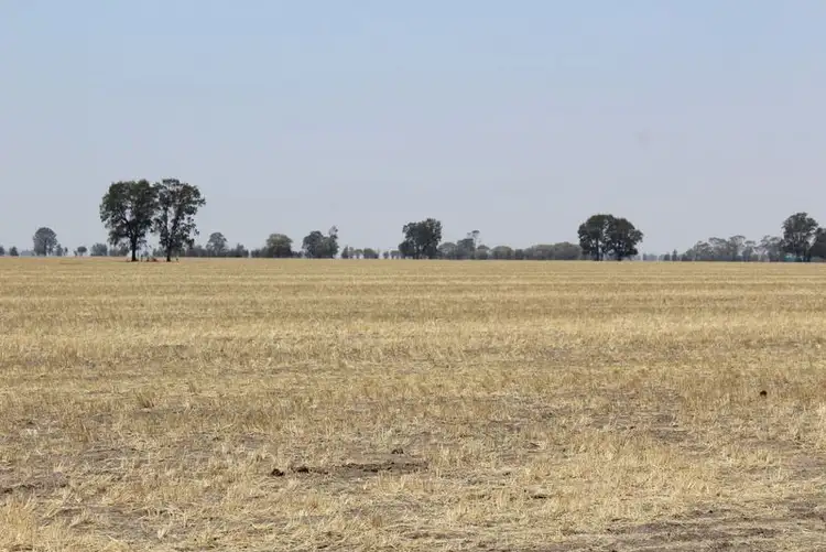 Second view of Homely rural property listing, '' Kyona", Moree NSW 2400