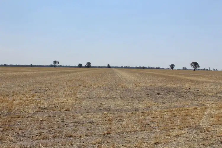 Third view of Homely rural property listing, '' Kyona", Moree NSW 2400
