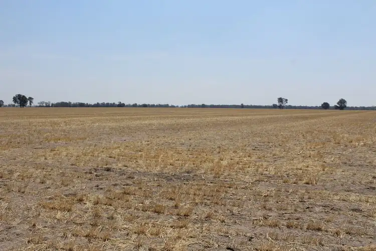 Fourth view of Homely rural property listing, '' Kyona", Moree NSW 2400