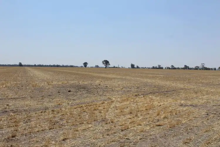 Fifth view of Homely rural property listing, '' Kyona", Moree NSW 2400