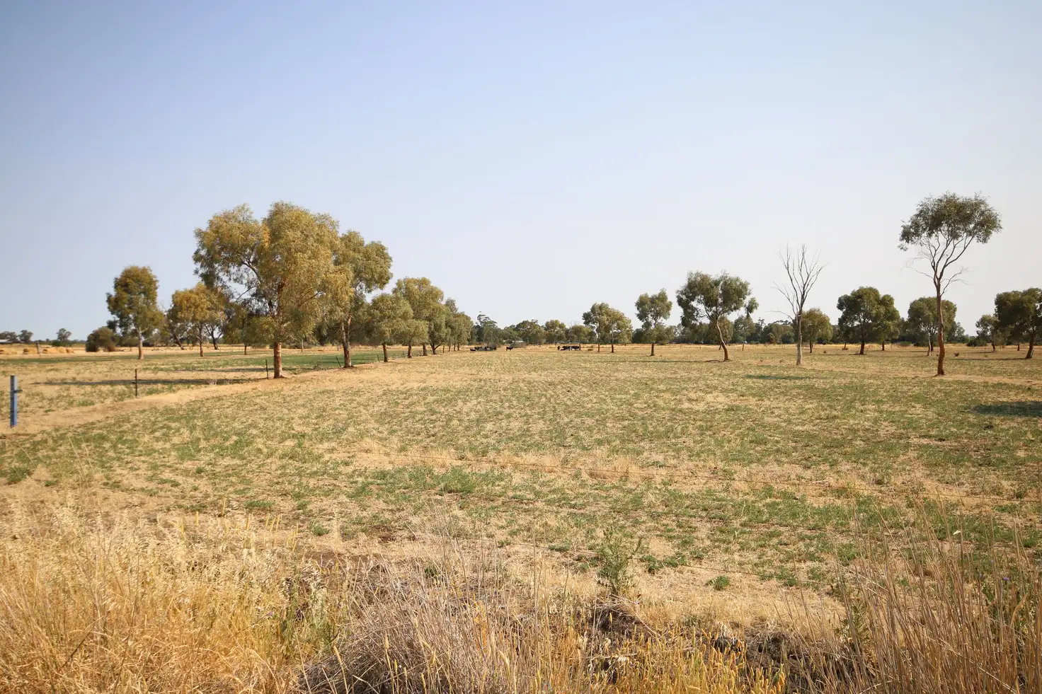 Main view of Homely rural property listing, 293 Hansen Road, Ballendella VIC 3561