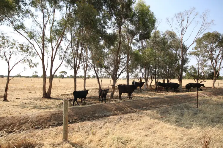 Third view of Homely rural property listing, 293 Hansen Road, Ballendella VIC 3561