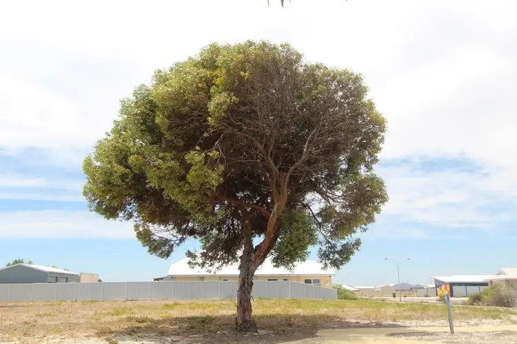 Seventh view of Homely land listing, 27 Beachridge Drive, Jurien Bay WA 6516
