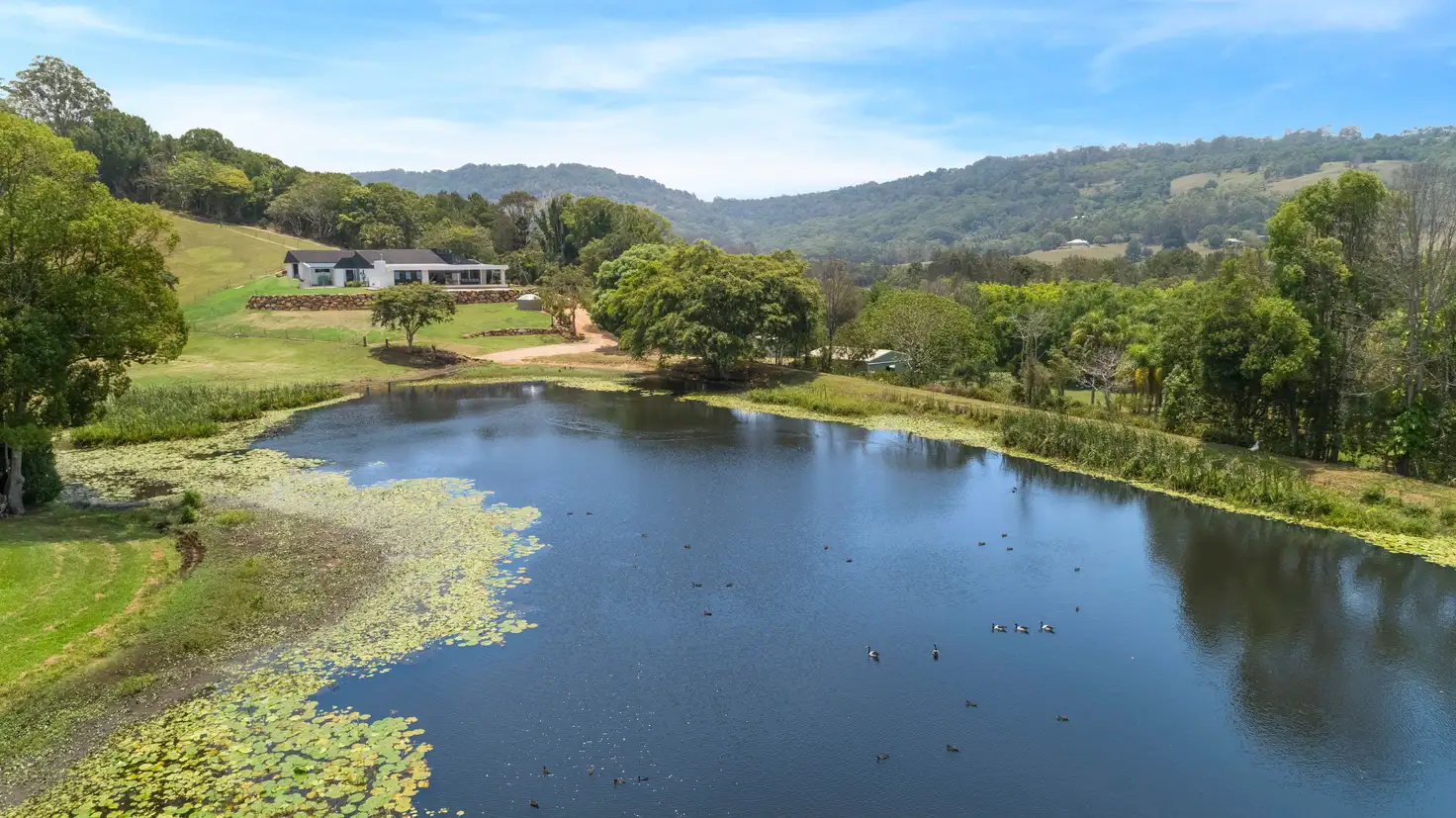 Main view of Homely rural property listing, 8 Biral Close, Bilambil NSW 2486