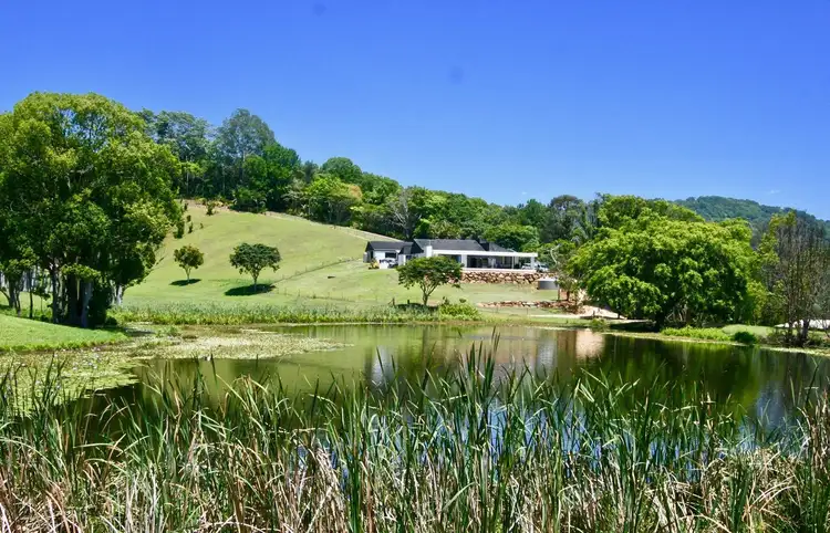 Third view of Homely rural property listing, 8 Biral Close, Bilambil NSW 2486