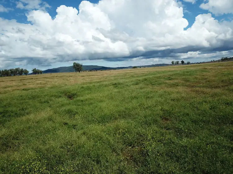 Second view of Homely rural property listing, 190 Babbinboon Road, Tamworth NSW 2340