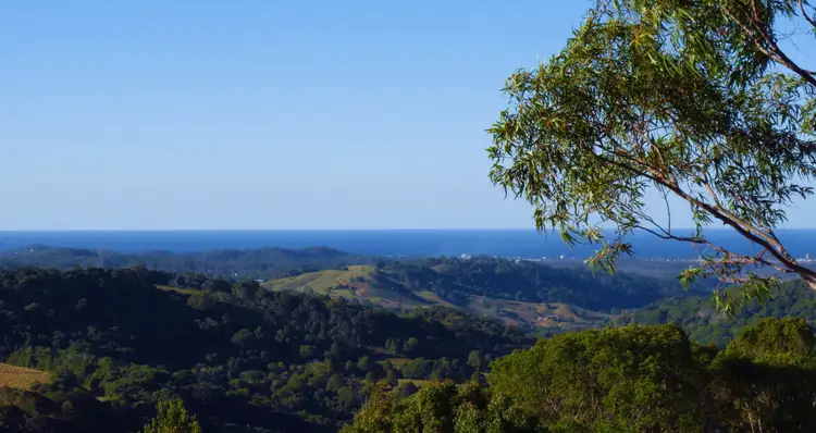 429 Carool Road, Carool NSW 2486