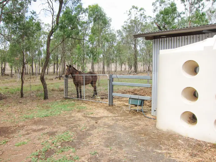 Sixth view of Homely rural property listing, 120 Tea Tree Road, Harrisville QLD 4307
