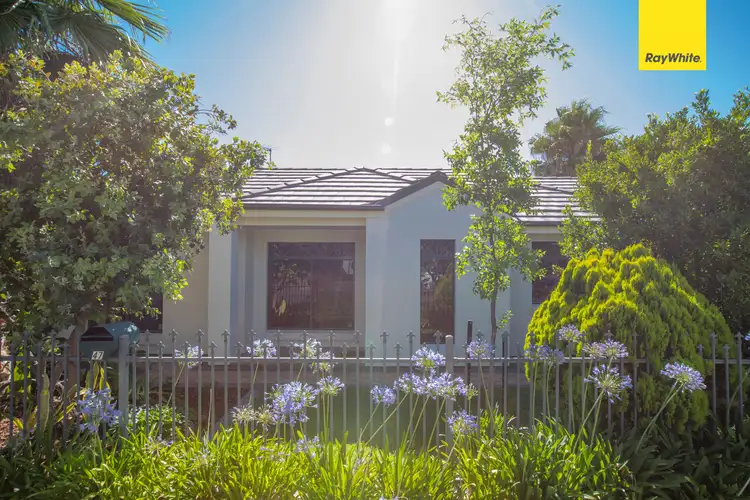 47 Mitton Avenue, Henley Beach SA 5022