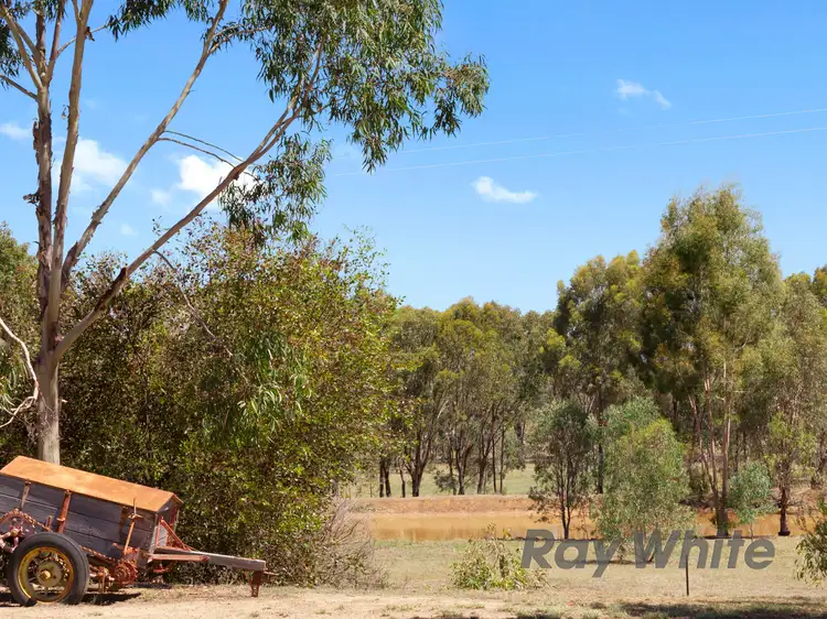 Second view of Homely rural property listing, 160 Basin Road, Benalla VIC 3672