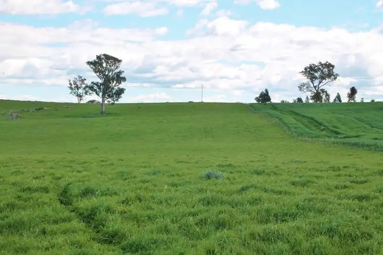 Sixth view of Homely land listing, 605 Spring Creek Road, Young NSW 2594