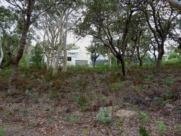 Fifth view of Homely land listing, 24 Hazelwood Rise, Callala Beach NSW 2540