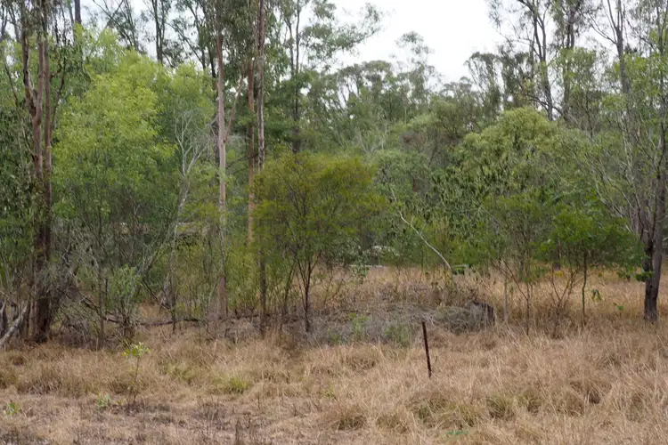 Sixth view of Homely land listing, 195 Nangarin Road, Oakhurst QLD 4650