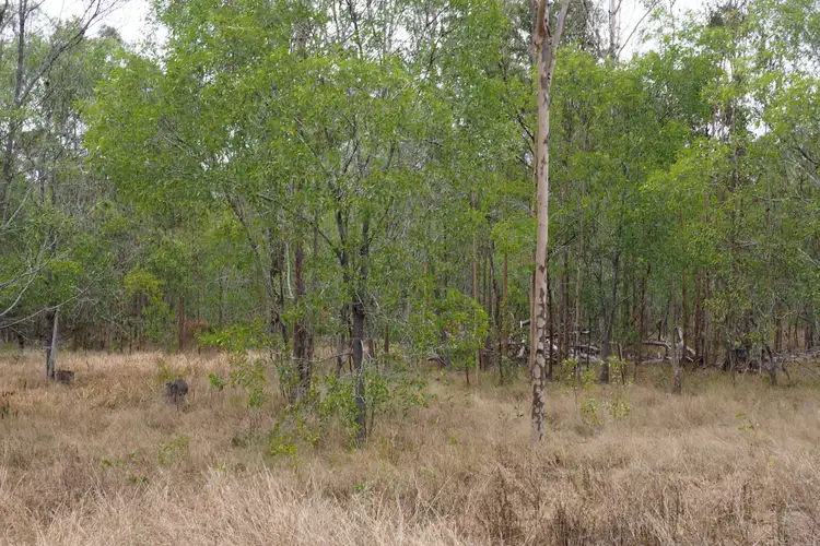 Seventh view of Homely land listing, 195 Nangarin Road, Oakhurst QLD 4650