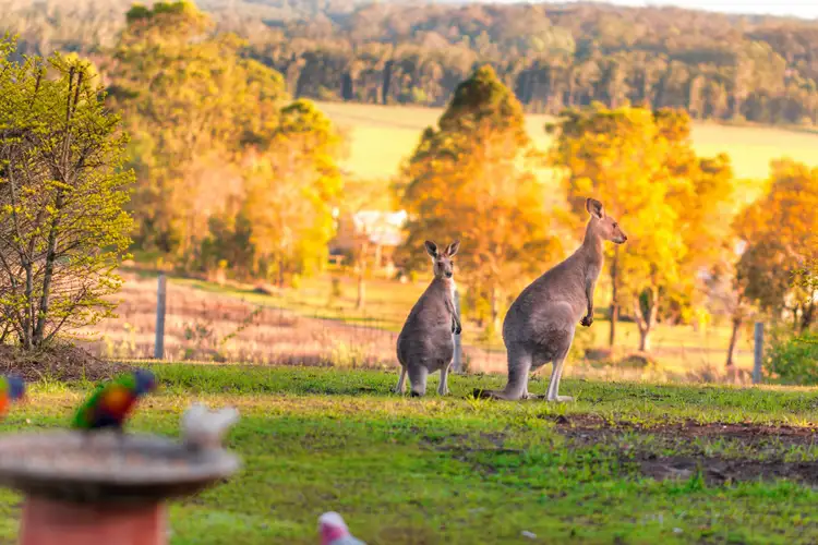 Third view of Homely house listing, 107 Clyde Essex Drive, Gulmarrad NSW 2463