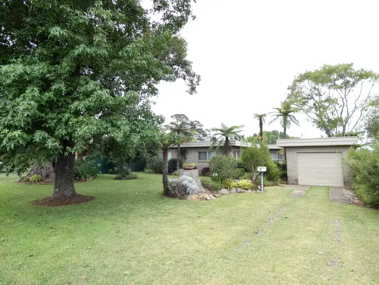 11 Kurrajong Street, Dorrigo NSW 2453
