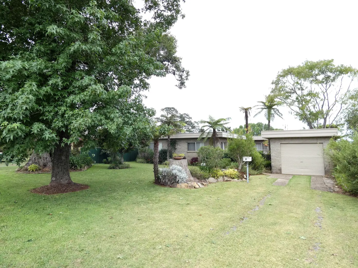 Main view of Homely house listing, 11 Kurrajong Street, Dorrigo NSW 2453