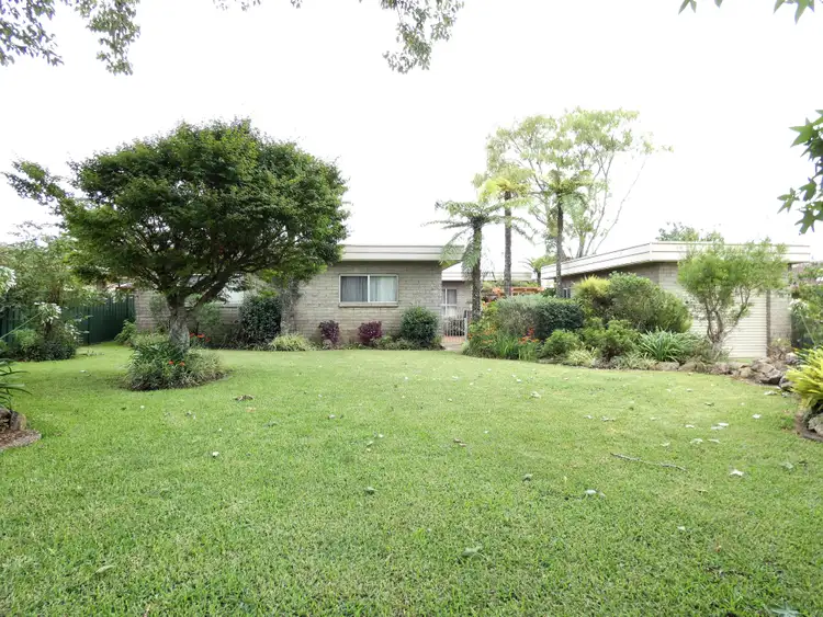 Second view of Homely house listing, 11 Kurrajong Street, Dorrigo NSW 2453