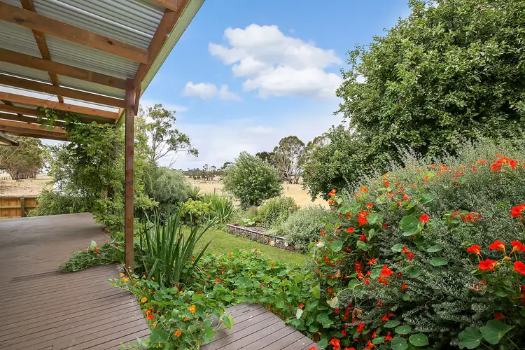 101 Browns Road, Elingamite VIC 3266