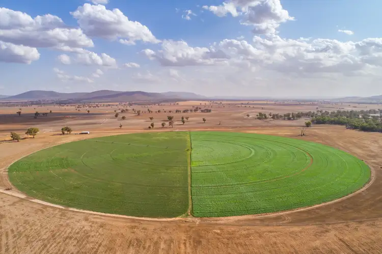 Second view of Homely rural property listing, 353 Cassidys Lane, Gooloogong NSW 2805