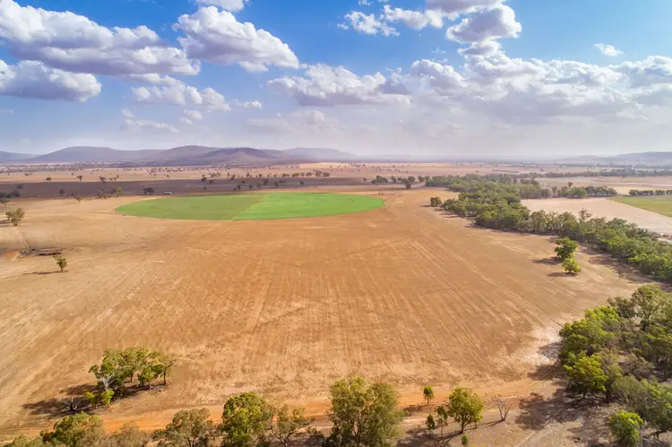 Fifth view of Homely rural property listing, 353 Cassidys Lane, Gooloogong NSW 2805