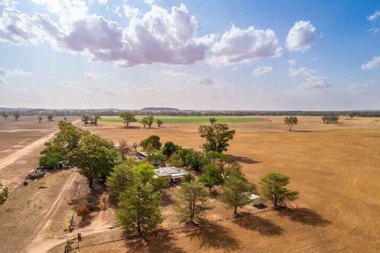 Sixth view of Homely rural property listing, 353 Cassidys Lane, Gooloogong NSW 2805