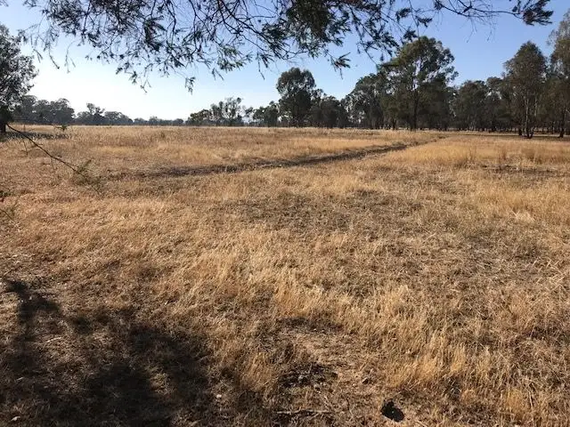 Fourth view of Homely rural property listing, Address available on request