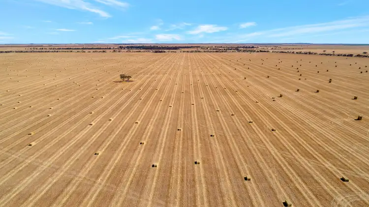 'Gregors' 325 Gurrai Road, Parilla SA 5303