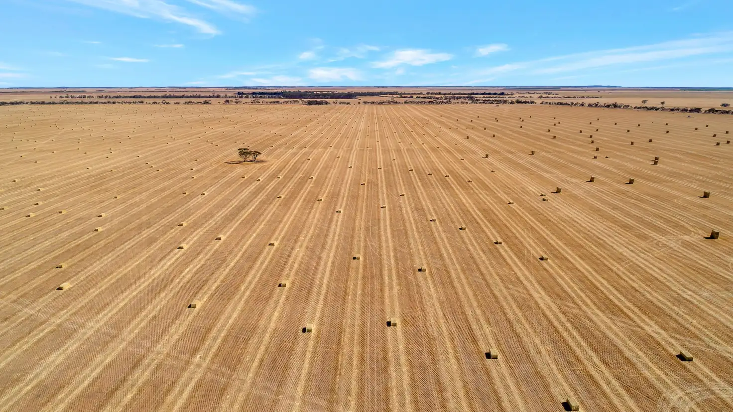 Main view of Homely rural property listing, 'Gregors' 325 Gurrai Road, Parilla SA 5303