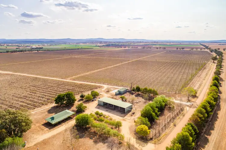 Second view of Homely rural property listing, 287 Mount Lewis Road, Canowindra NSW 2804