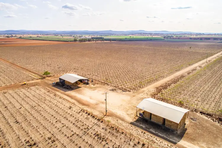 Third view of Homely rural property listing, 287 Mount Lewis Road, Canowindra NSW 2804
