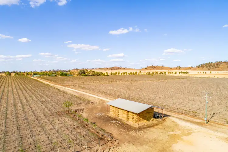 Fourth view of Homely rural property listing, 287 Mount Lewis Road, Canowindra NSW 2804