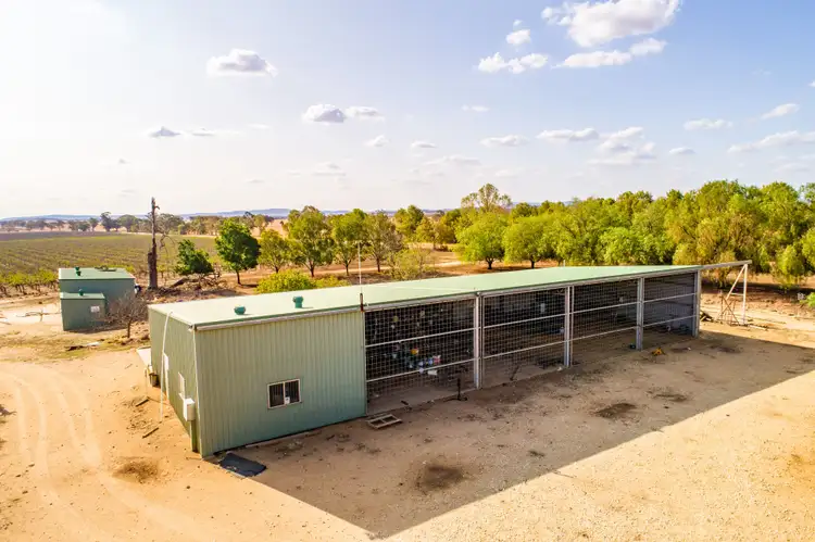 Fifth view of Homely rural property listing, 287 Mount Lewis Road, Canowindra NSW 2804