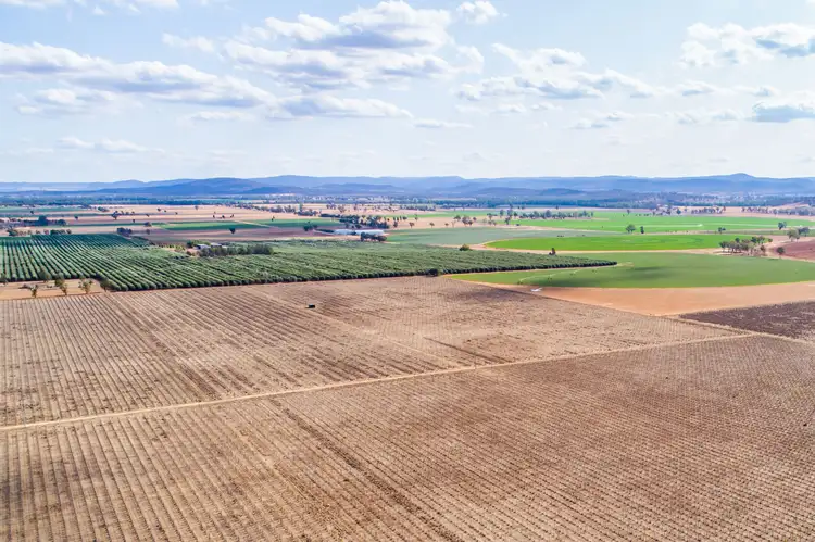 Sixth view of Homely rural property listing, 287 Mount Lewis Road, Canowindra NSW 2804