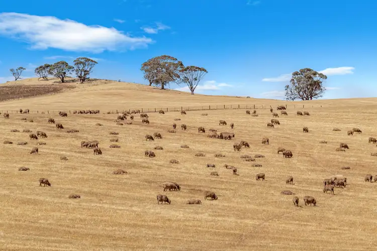 'Roehrs' 249 Roehr Road, Tarnma SA 5413