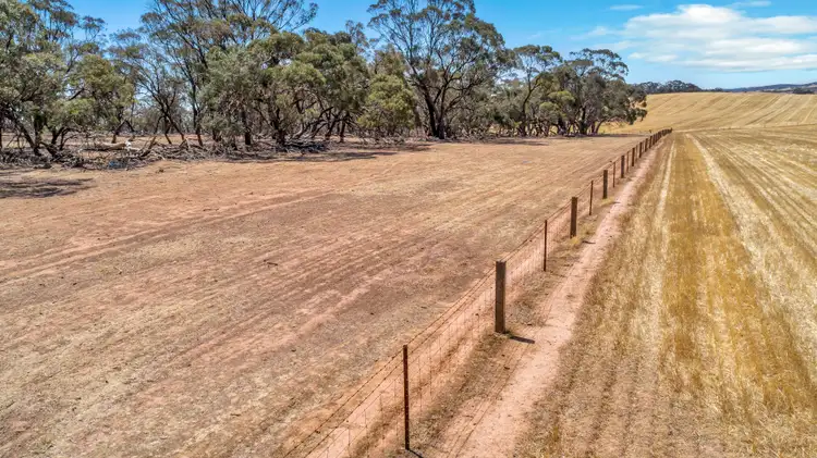 Seventh view of Homely rural property listing, 'Roehrs' 249 Roehr Road, Tarnma SA 5413