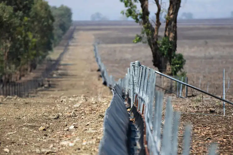 Seventh view of Homely rural property listing, Address available on request